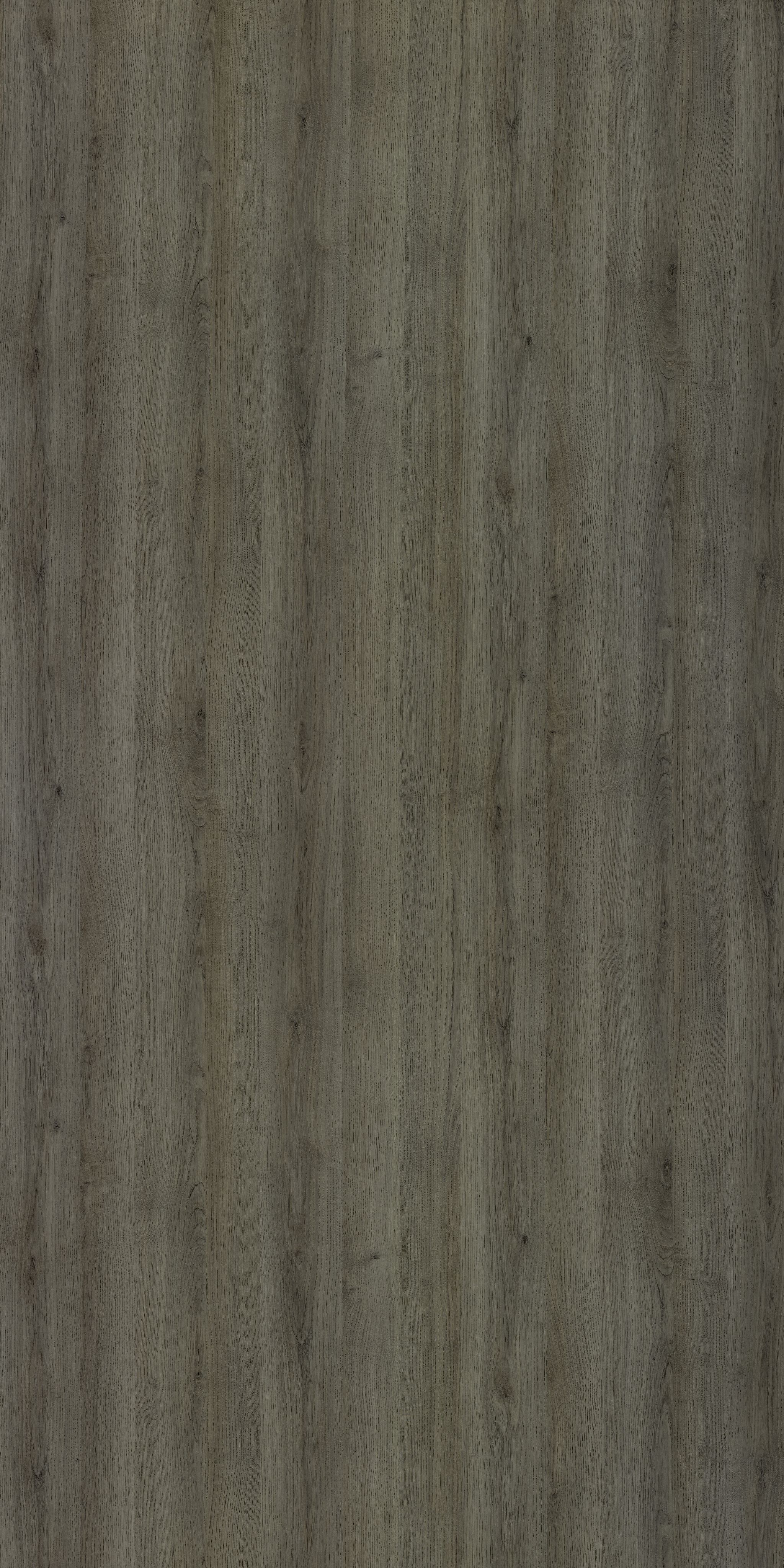 mm41 Buy 14641 VNZ - Laural Oak Wind - Merino Laminate - 1mm 8ft